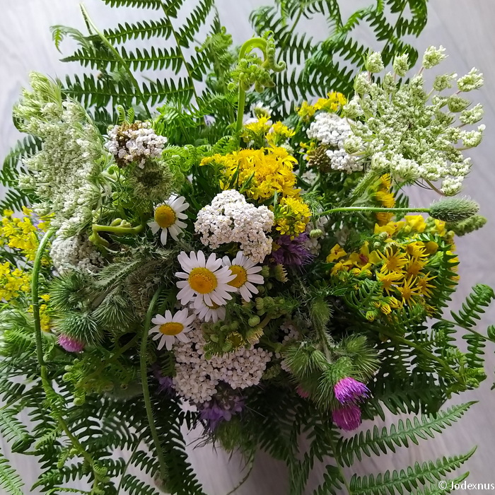 blumen